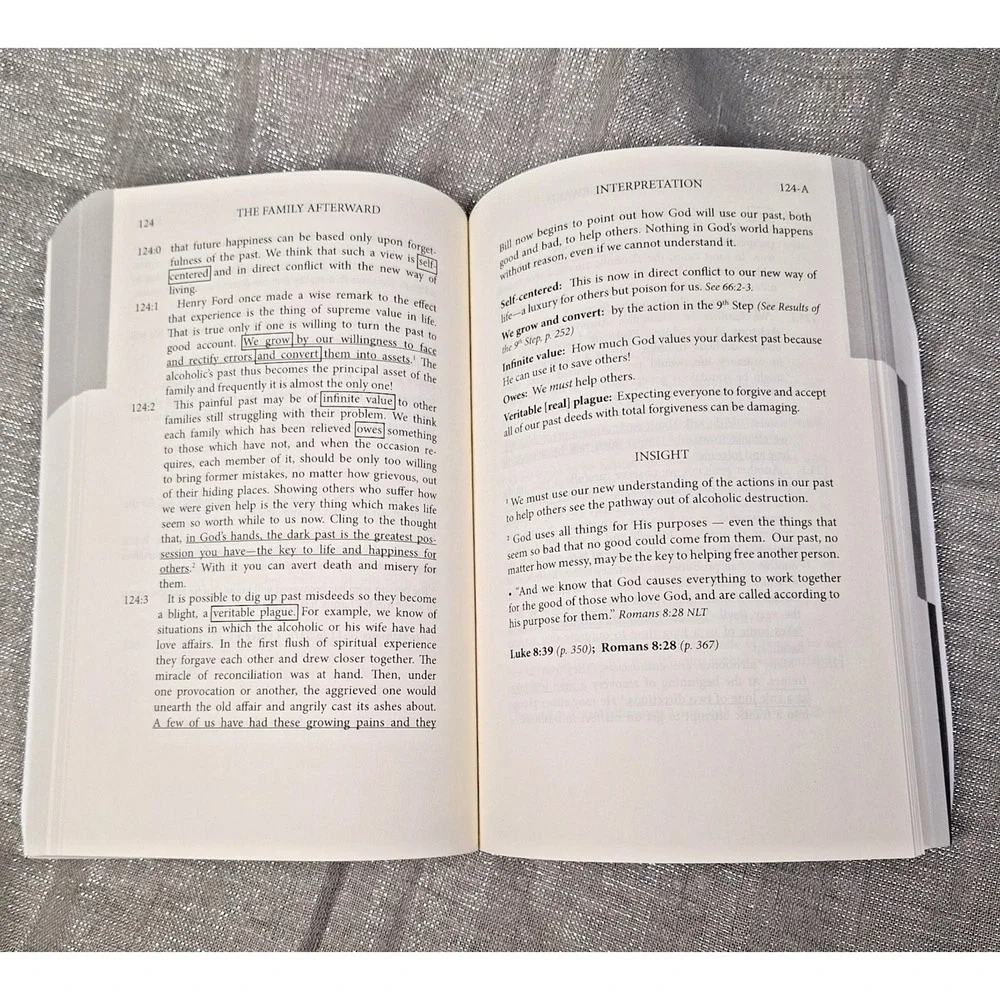 Fat Book: Explaining What the Early A.A.'S Did, Said, and Read, Bridging the Gap